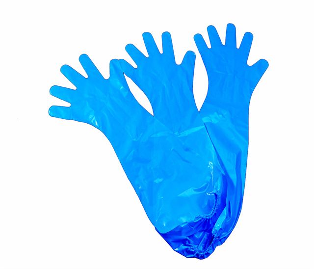Blue CPE Elbow Length Glove With Elastic Band